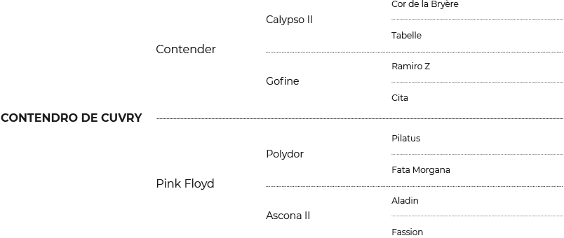 Pedigree